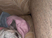Looking for a good home for luna