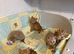 Ginger male kittens 8 weeks old