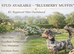 Blueberry Muffin - KC Registered Long Haired Miniature Dachshund