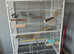 BRAND NEW BIRD CAGE AND USED TRAVEL CAGE