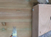 Breeding Pair Of Cockatiels