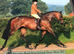 Sports Horse x colt to make 15.2h