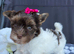 Tiny little girl ready to new home