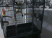 large parrot cage