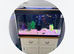 Fish tank with accessories