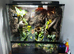 Exo Terra 90x90x45 Bioactive Crested Gecko Setup + 4 Geckos Full Setup