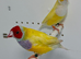 Beautiful pair of yellow Gouldian finches