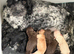 Gorgeous Cockapoo Puppies