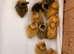 Call ducklings