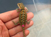 STUNNING BEARDIE READY NOW