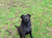 Narla