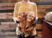 Ferret / polecat