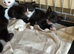7 beautiful kittens Essex