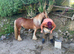 4 year old ride and drive bombproof