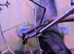 African Cat Eye Mantis & Horsehead Grasshoppers