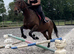 15.3 tb mare