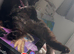 Beyonc&eacute; a beloved cat