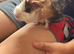 Guinea pigs free to a loving home.