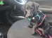 Daschund x patterdale terrier