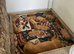 Kc registered working line Labradors