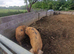 Looking for a boar asap