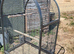 parrot cage