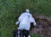 Beautiful KC registered springer spaniel female
