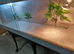 Vivarium 4 foot light grey with electrics