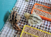 Coturnix quail chics