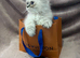 READY NOW Fully vaccinated“Louis”, Persian kitten