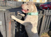 1 year old male sharpei cross needing rehomed