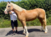 Golden lady mare pony