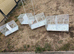 Breeding cages x4