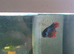 Fish tank and fish