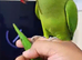 4 month old baby ringneck