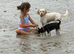 Meet Molly are toy poodle