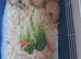 BABY CALIFORNIAN GUINEA PIGS