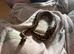 Ball python