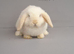 Beautiful mini lop rabbits ready now