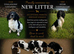 OFTAW sired ESS pups
