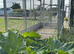 Aluminum Aviary