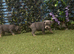 American Pocket Bullies