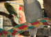Cockatiels, Budgies, Canaries