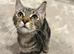 Looking to rehome