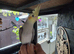 Baby cocktail