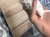 2 male gerbils for sale
