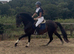 The Rising Star For The ROR Circuit