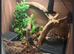 2ft Vivarium