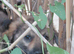 HANNAH – A BEAUTIFUL, HAPPY GIRL WITH THE MOST SOULFUL EYES