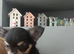Chihuahua puppies